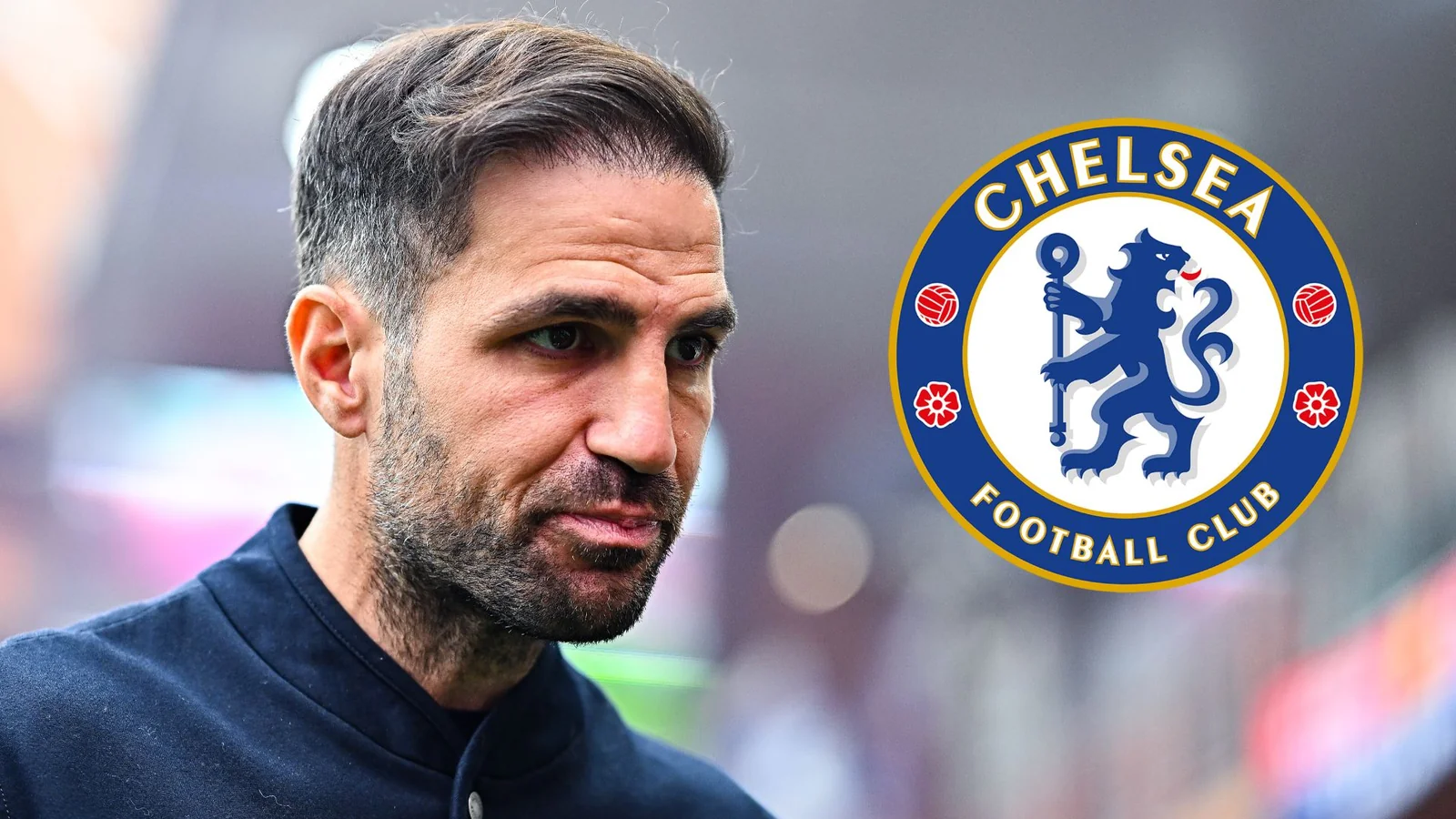 Chelsea advertido sobre el nombramiento de Cesc Fabregas