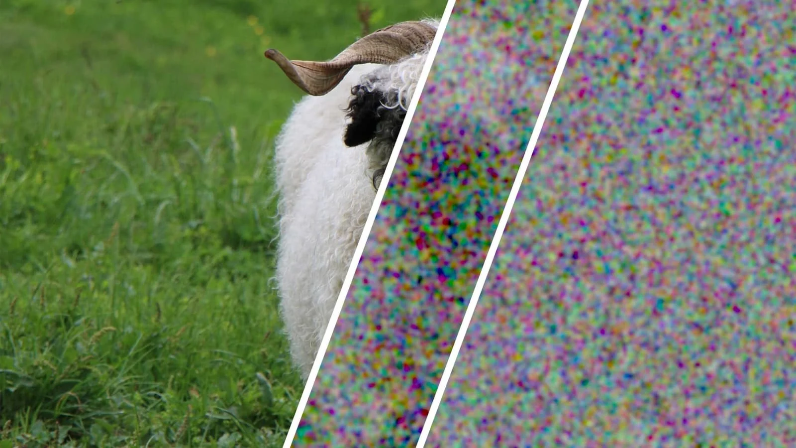 Scientists achieve mathematically perfect randomness for the first time
