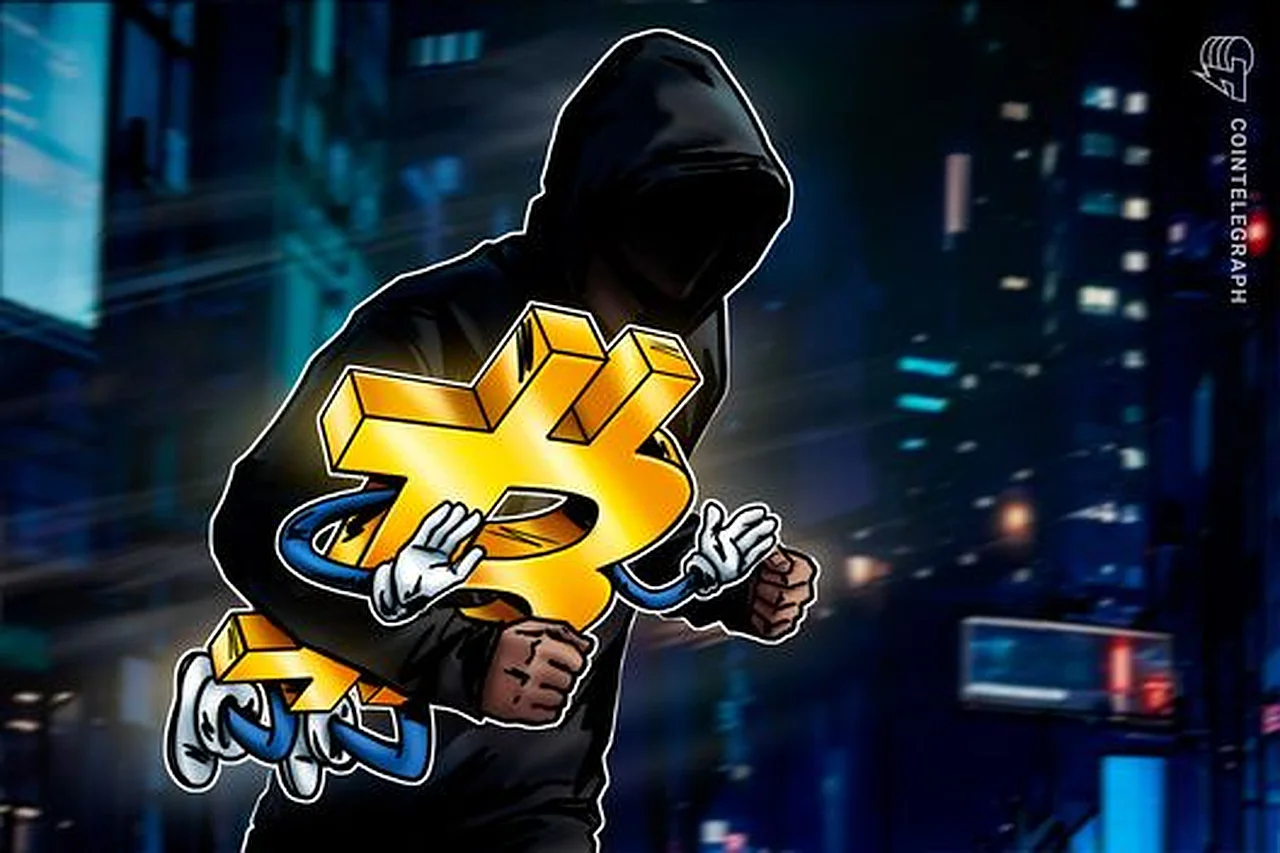 Солиқдан қочувчилар Bitcoin Ординалс ва янги рақамли активларга ўтмоқда