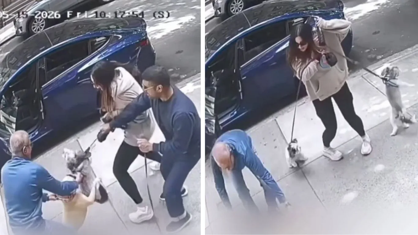 Hund springt aus Auto und greift an: Angespannte Lage auf der Straße
