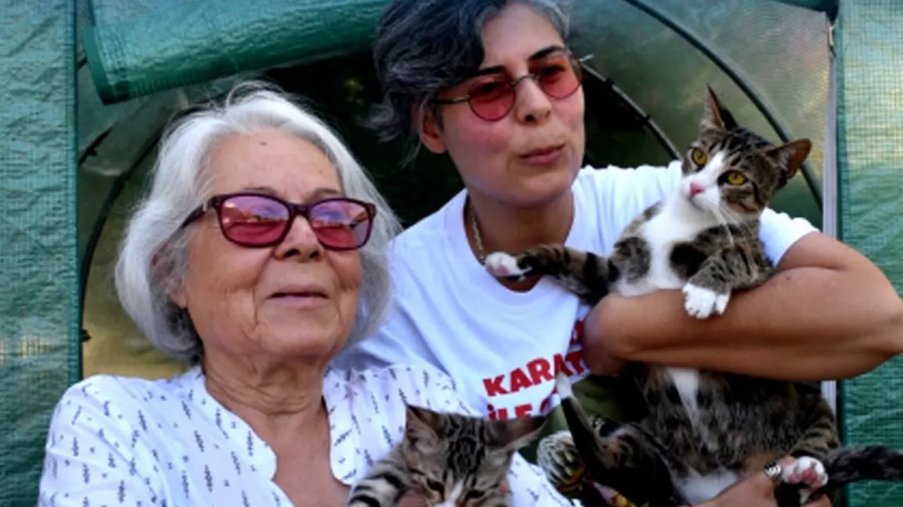 Erkak deb o‘ylangan mushuk bolaladi