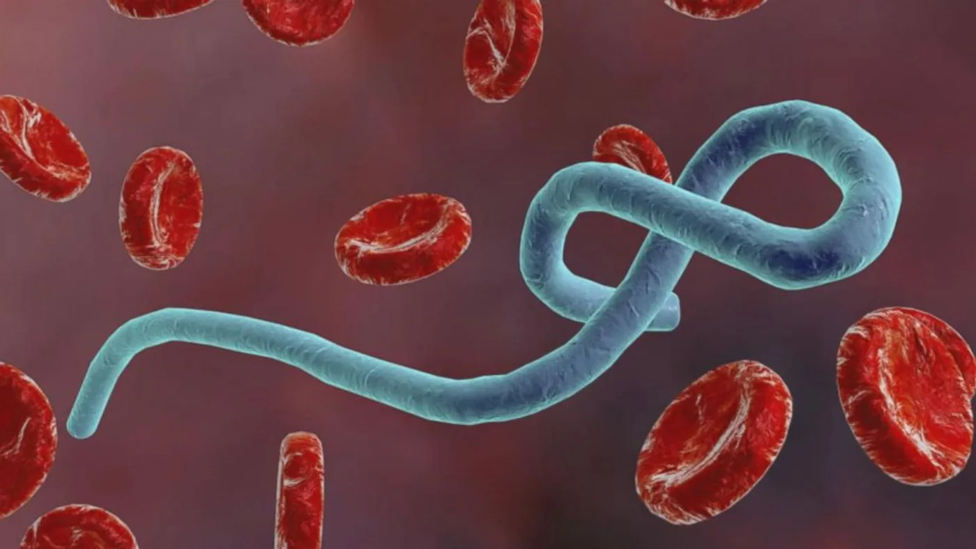 Ebola virus emergency: rapid spread, measures being intensified