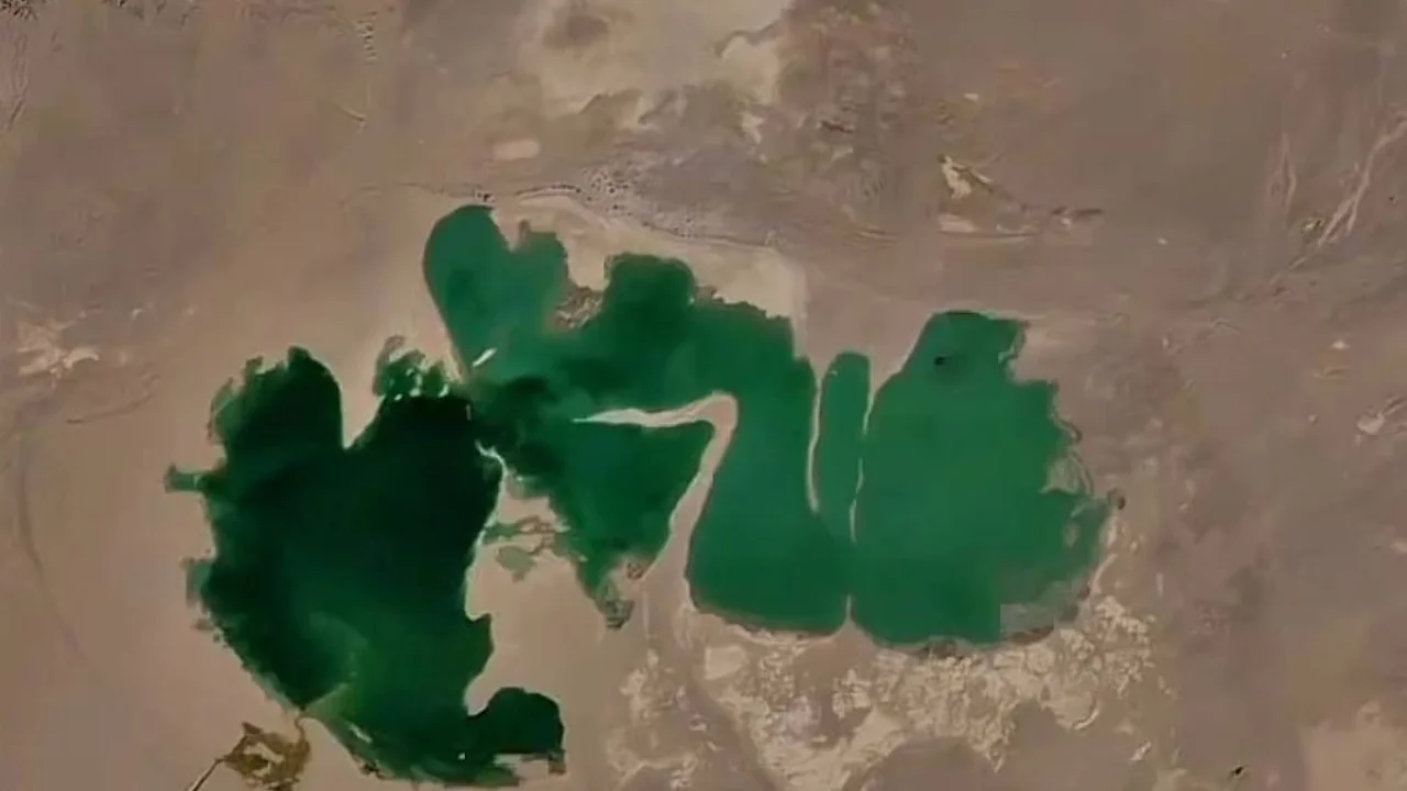 A massive sea appearing in the middle of the desert in Uzbekistan amazes everyone