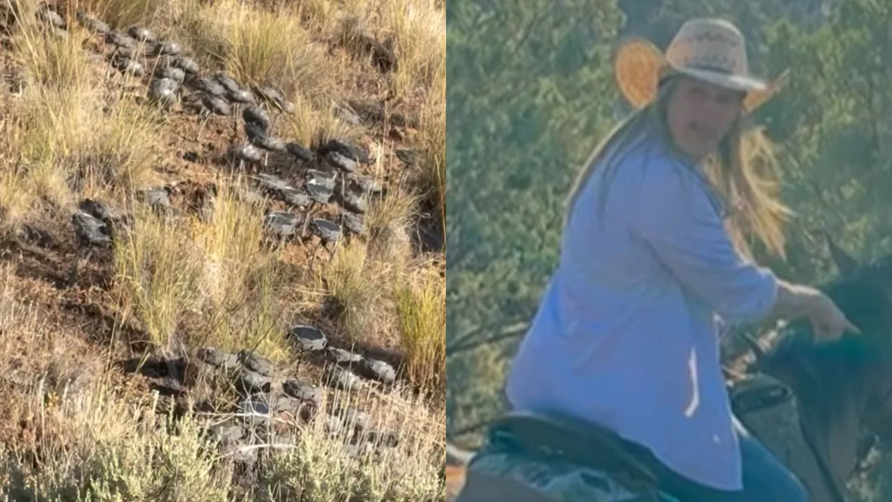 Otdagi ayol va adirda terilgan ko‘plab quyosh panellari.