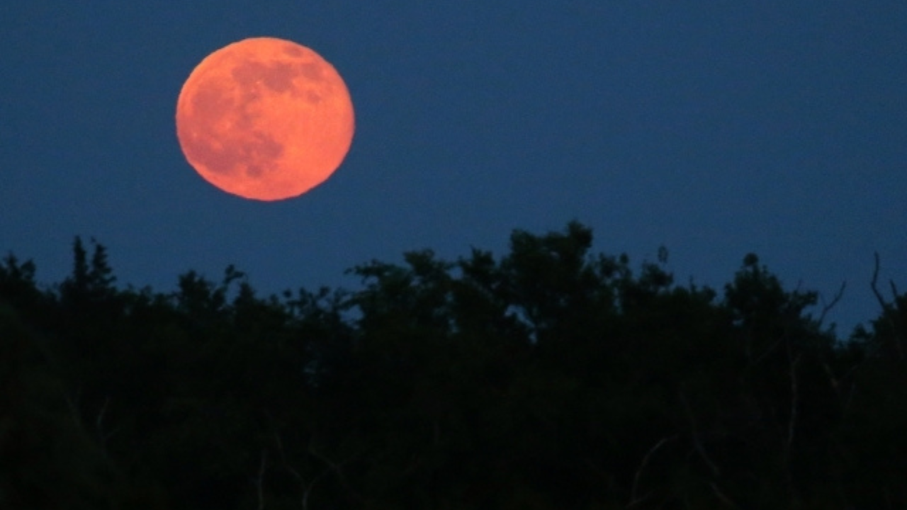 Seltenes „Erdbeermond“-Phänomen heute zu beobachten