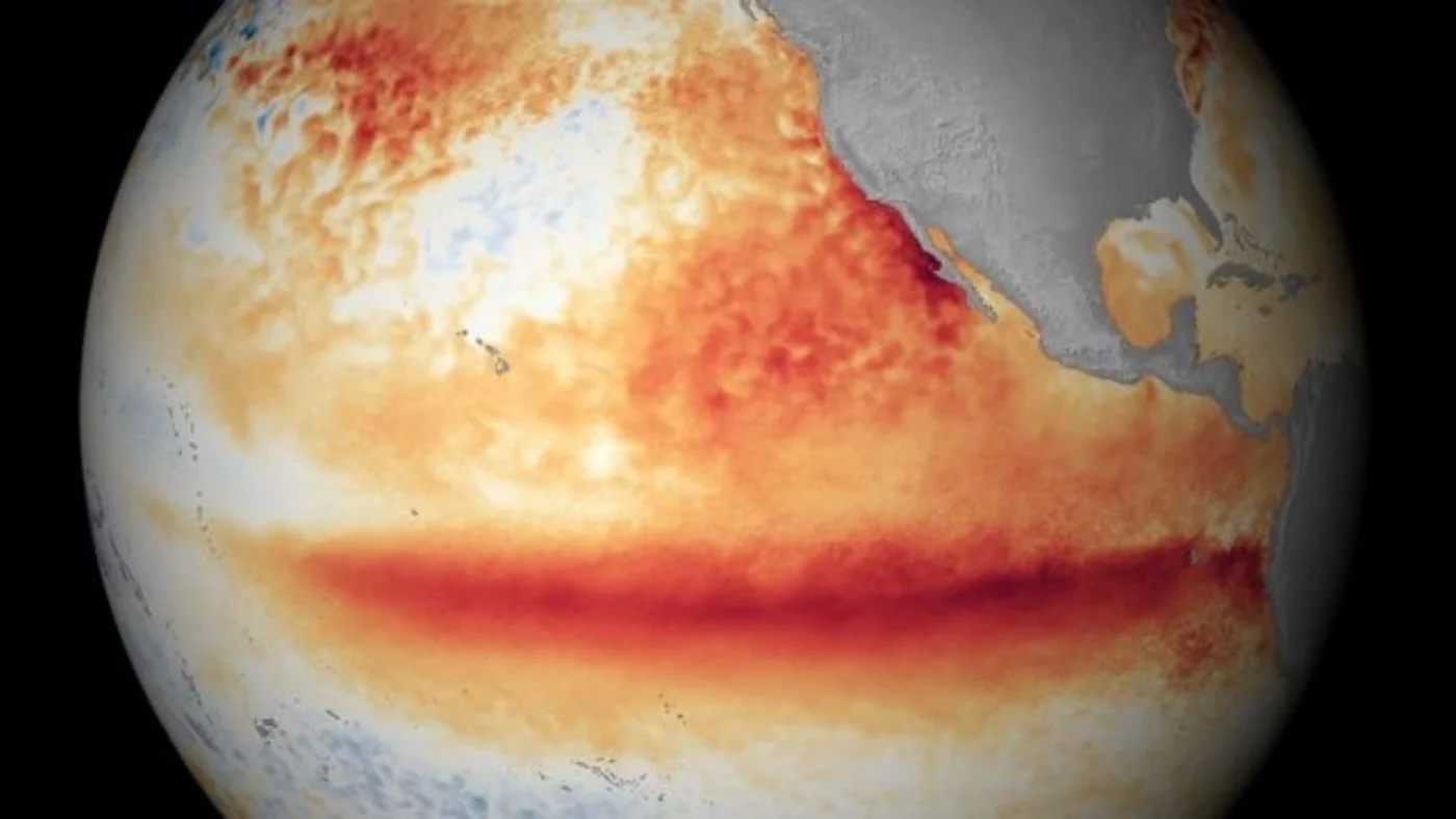 Global temperatures expected to reach record highs in the next 5 years