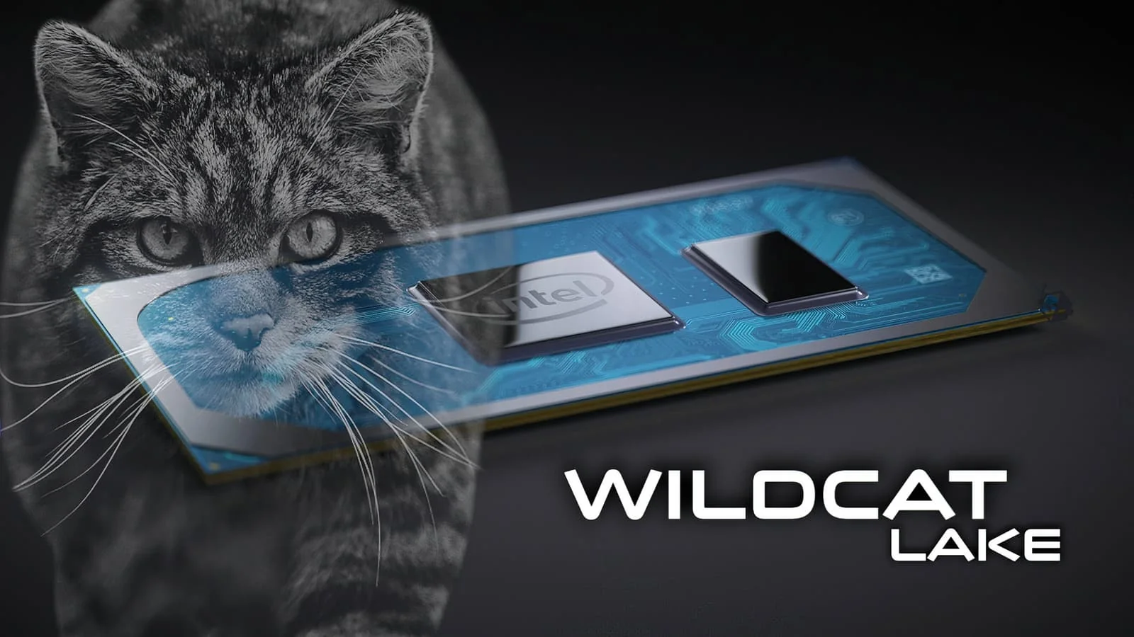 Intels erschwinglicher Core 3 304 Prozessor konkurriert mit Apple A18 Pro