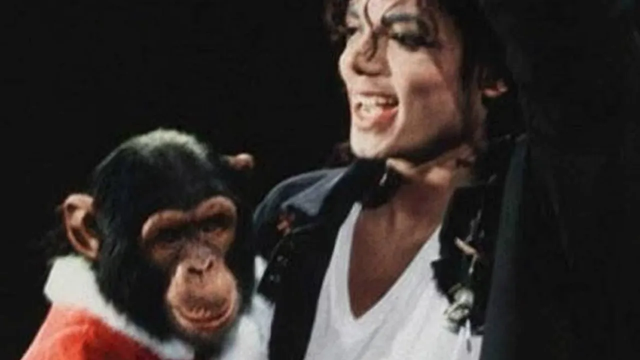 Where is Michael Jackson's famous chimpanzee Bubbles now?
