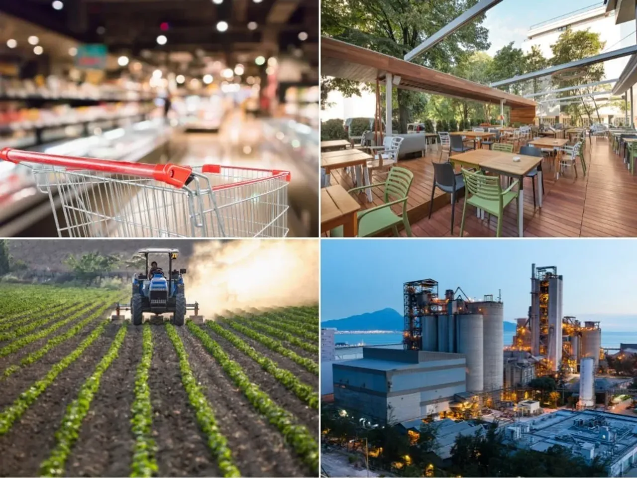 Uzbekistan has 596.9 thousand enterprises: the leading sector announced