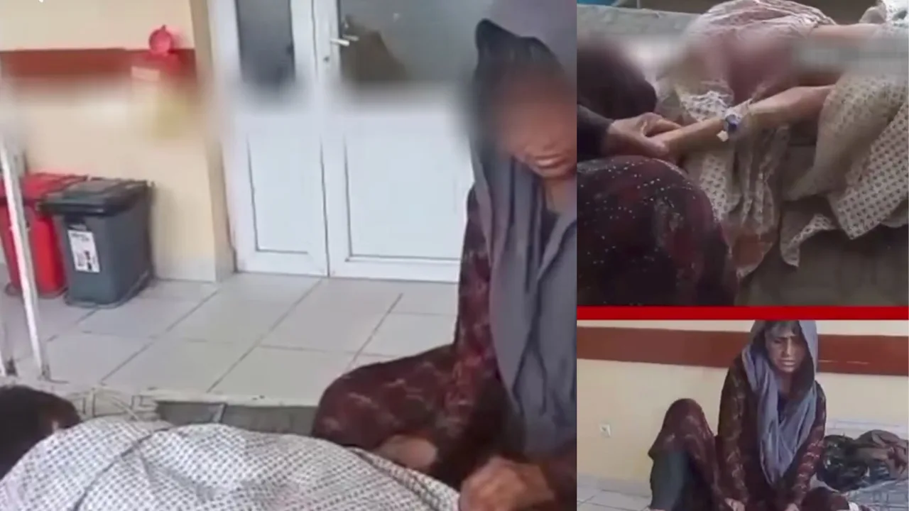 Wie wurde die Frau gerettet, die 7 Jahre lang im Stall gefangen gehalten wurde?