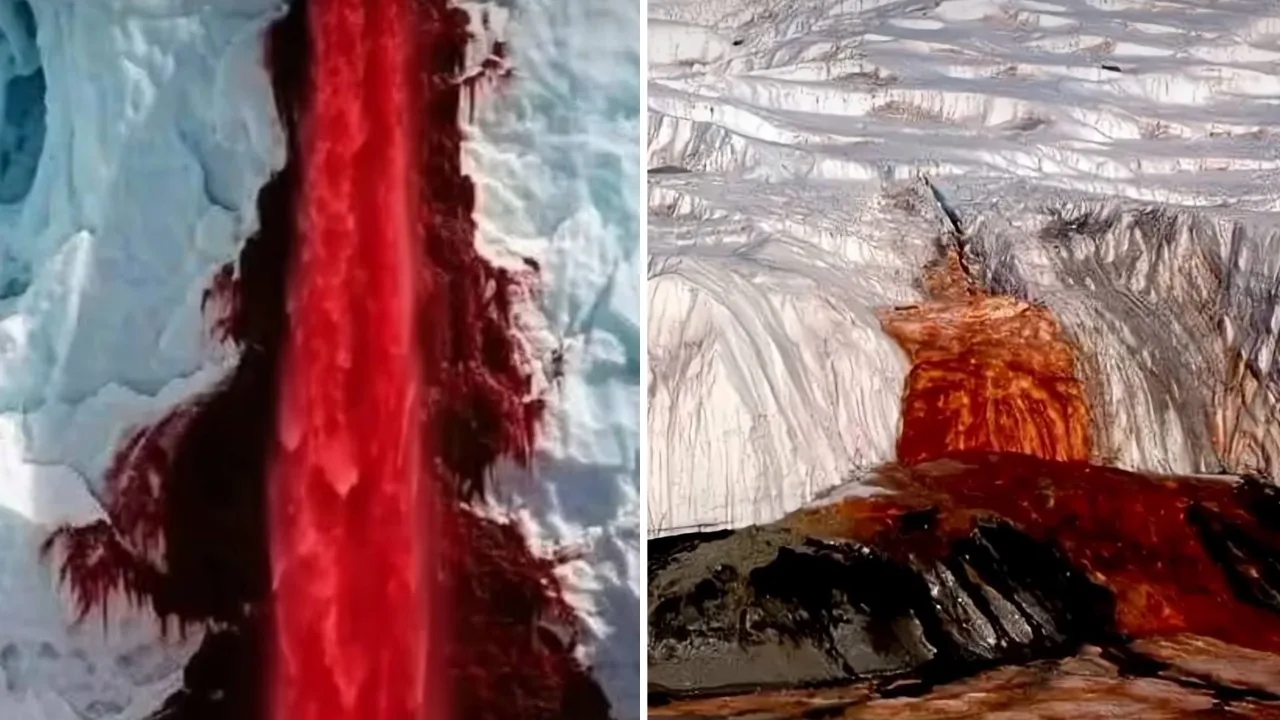 Why does the Blood Falls in Antarctica flow red?