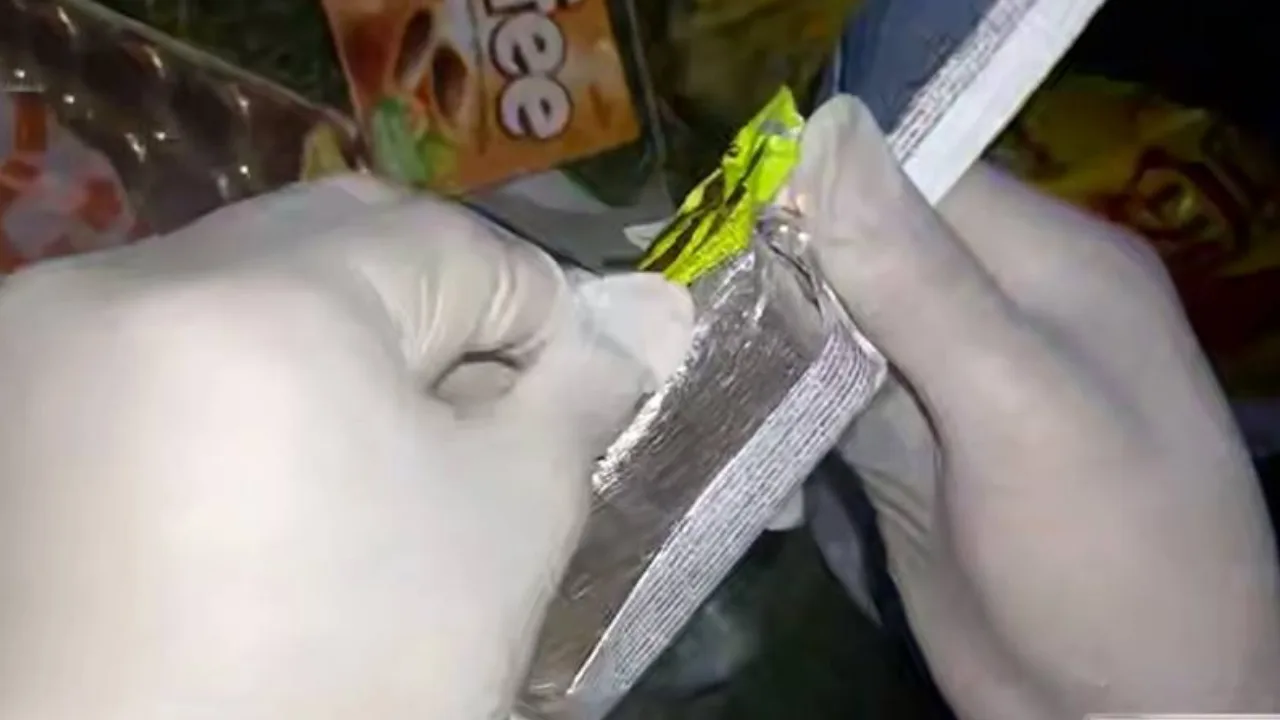 Drugs hidden among chocolates sent from Russia to Uzbekistan discovered at the border