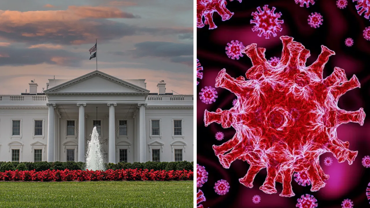 Did COVID-19 Originate from a Wuhan Lab: White House Explanation