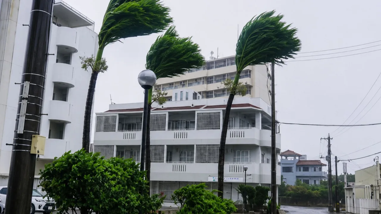 Typhon « Bavi » au Japon : 12 blessés (vidéo)