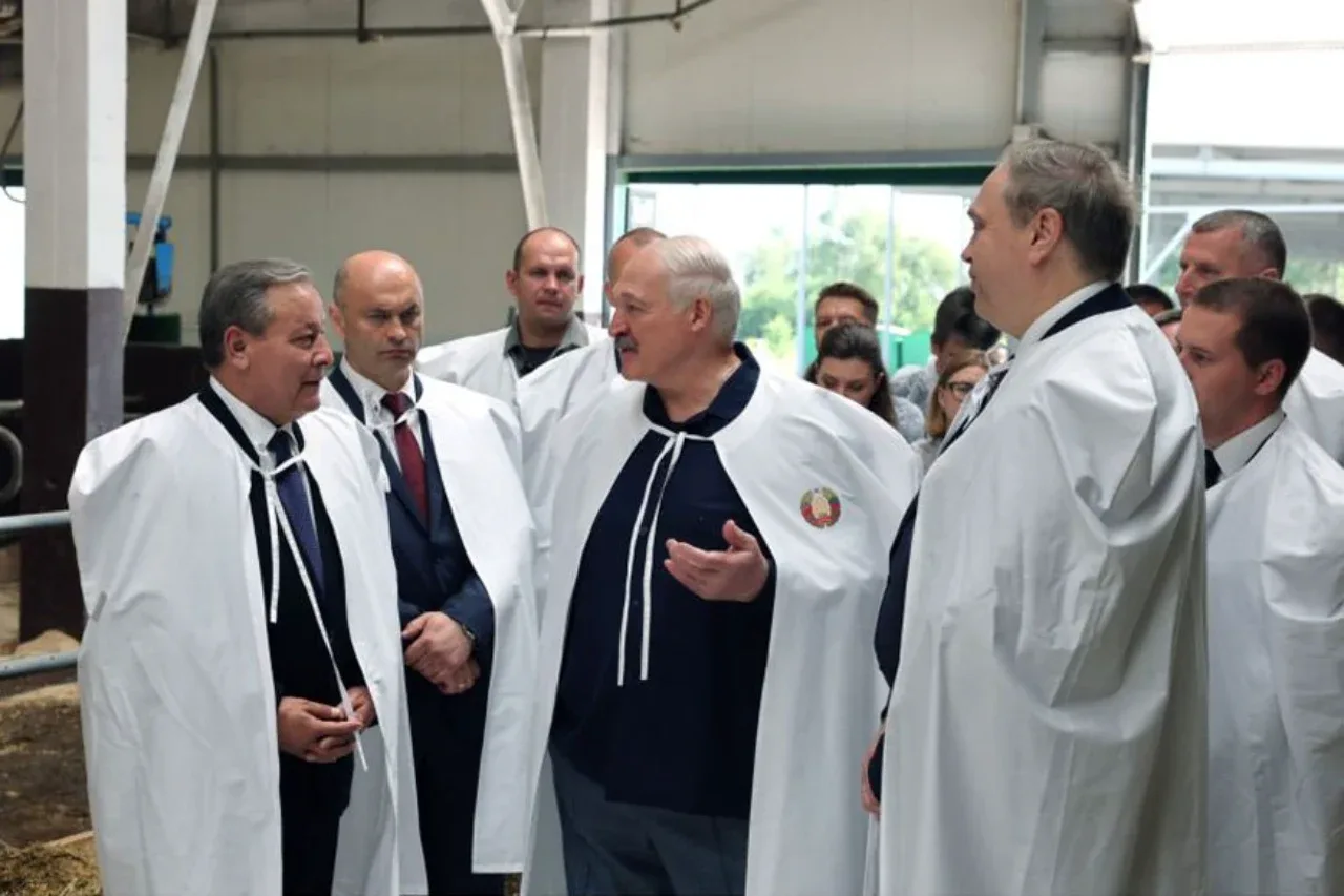 «Зеленый коридор» для узбекистанцев в Беларуси: 5 тысячам рабочих пообещали жилье, школы и детские сады