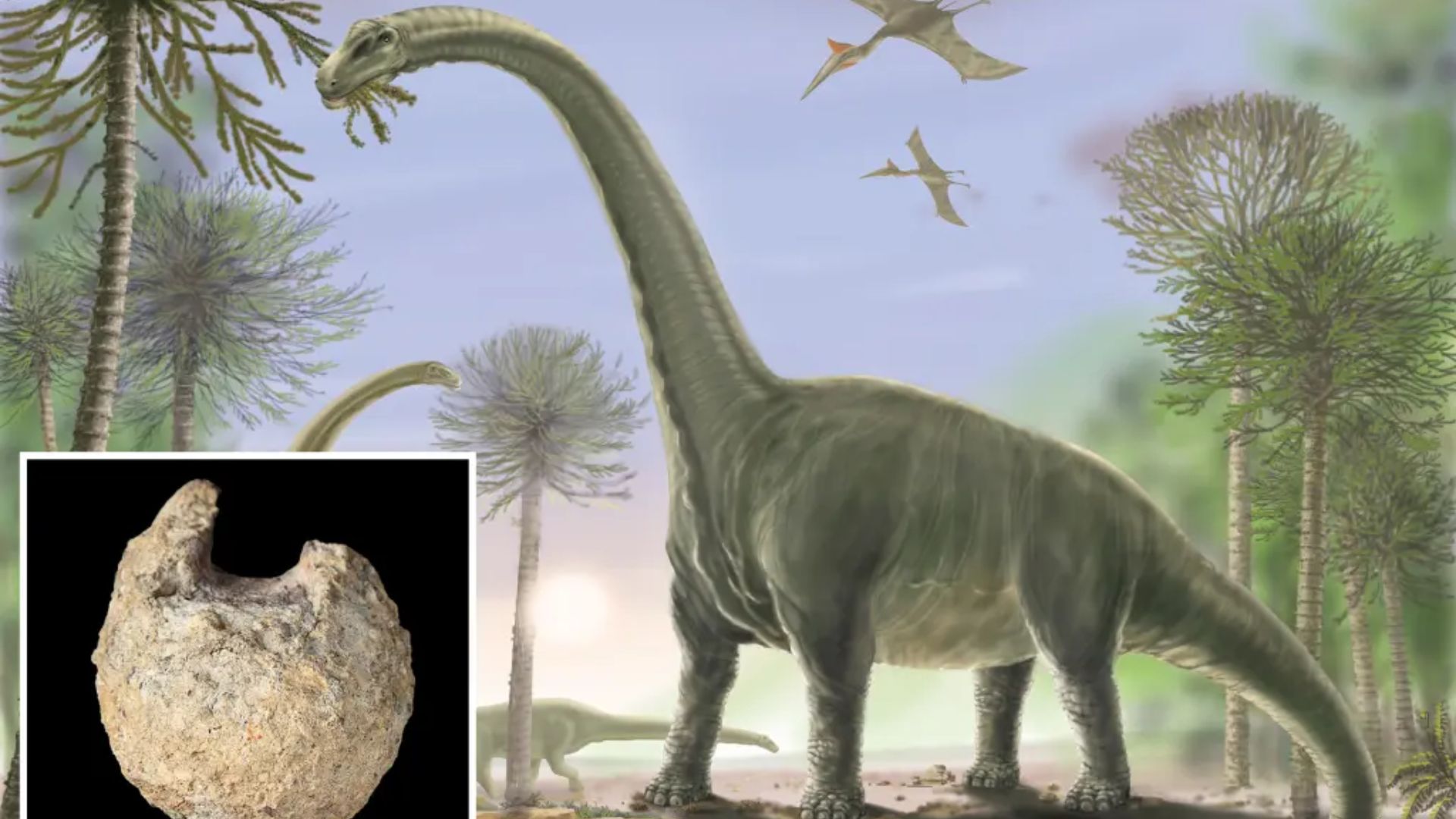 O'rmonda o'tayotgan dinozavrlar va ularning toshga aylangan tuxumi tasvirlangan.