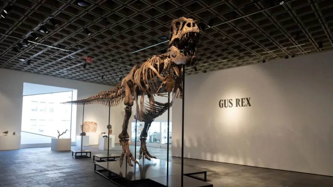 Muzey zalidagi "Gus Rex" deb nomlangan tirannozavr skleti.