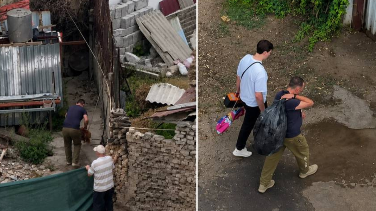 Veterinarian who beat dogs to death in Tashkent hears court verdict