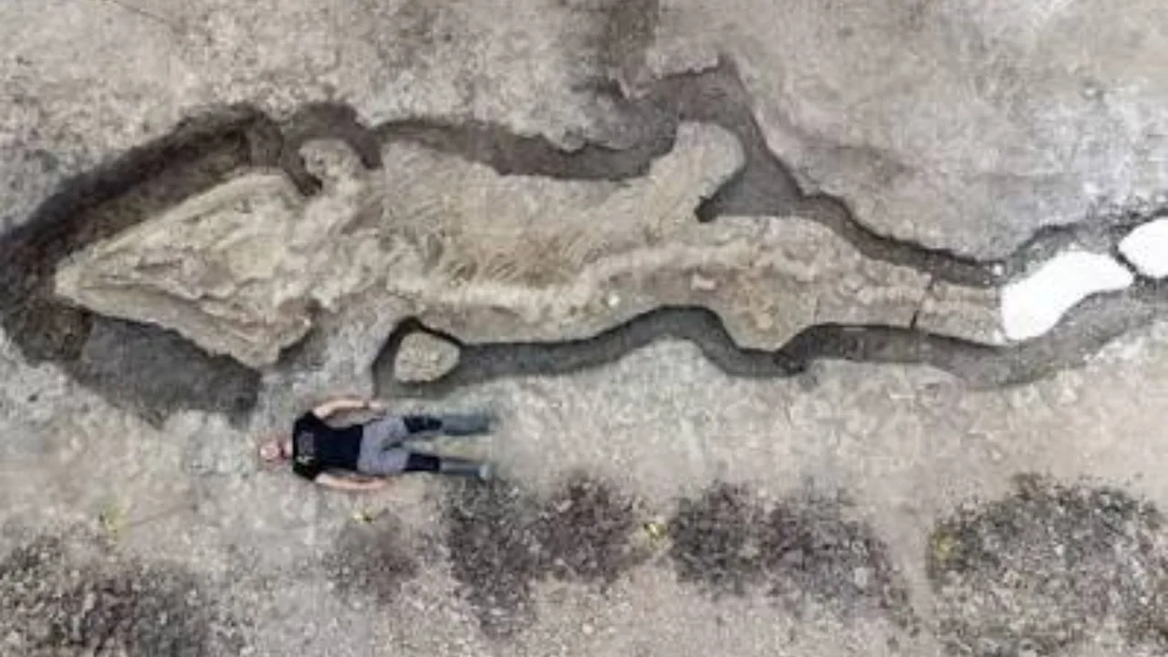 Erkak kishi katta dengiz drayonining toshga aylangan qoldiqlari yonida yotibdi.
