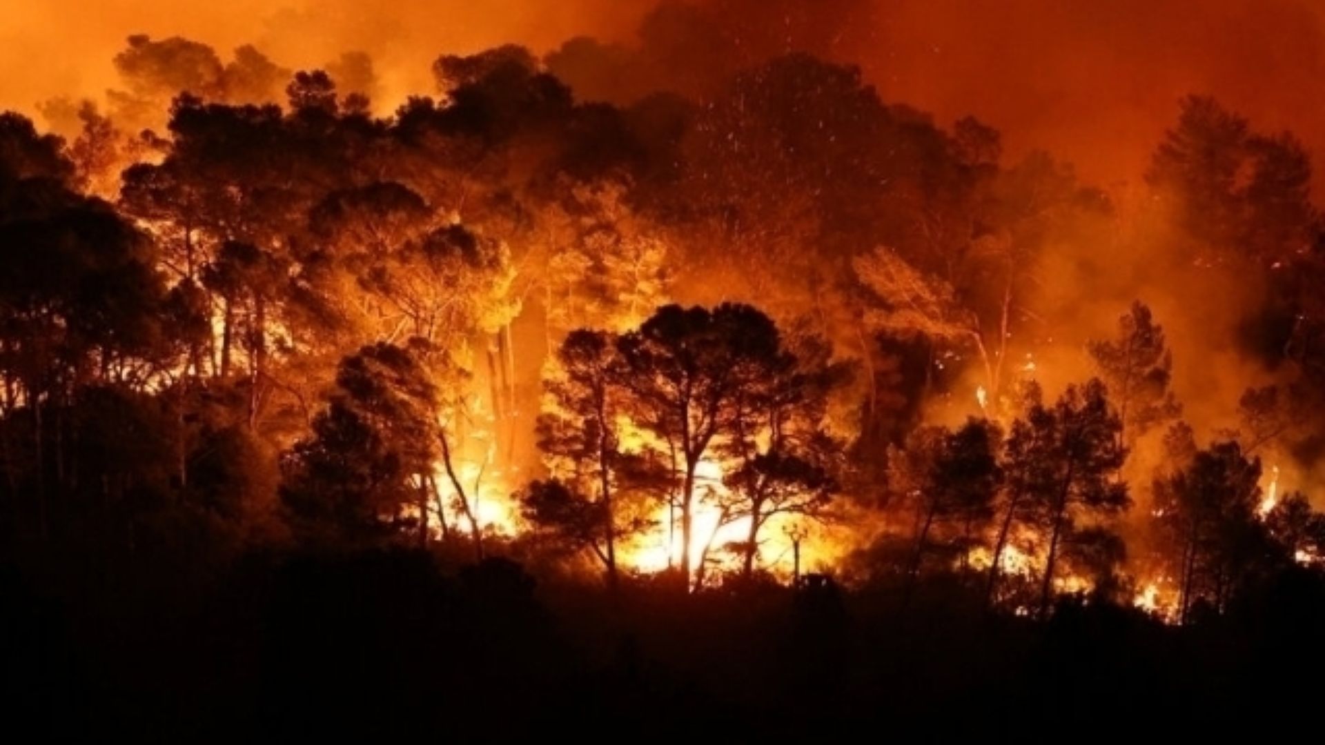 Natural Disaster in Europe: Forest Fires Are Spreading