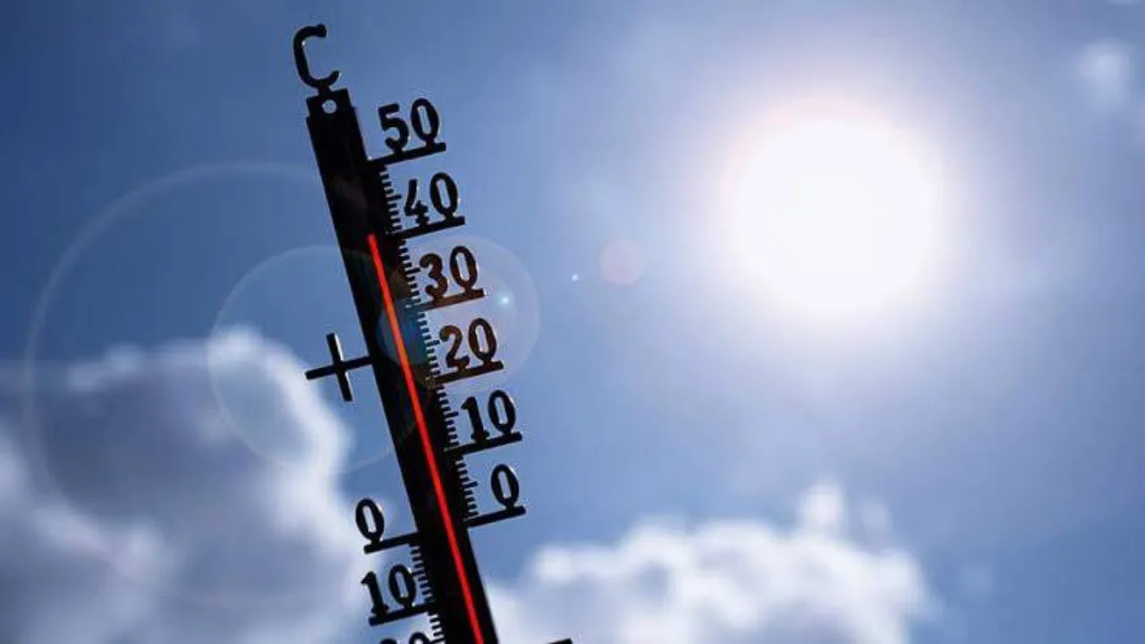 The real reason for the record heat in Europe has been revealed