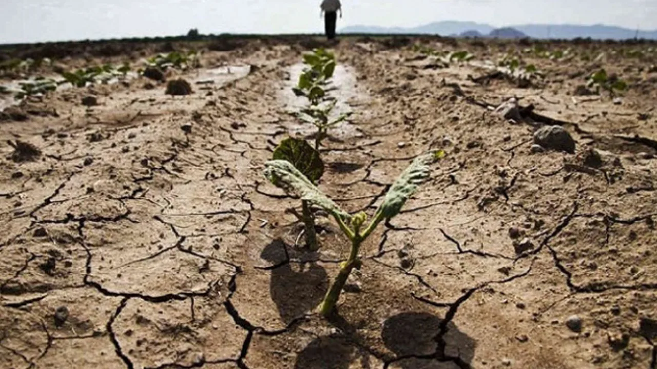 UN: 26 million people suffering from drought in Central Asia