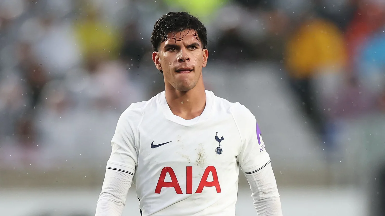 Warum stand Mateus Fernandes nicht im Kader von Tottenham?