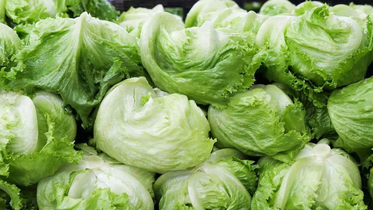 Gefährliche Infektion nach Eisbergsalat breitet sich auf 15 US-Bundesstaaten aus