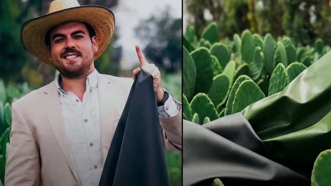 Mexican Entrepreneurs Create “Leather” from an Ordinary Cactus: Why Cactus?
