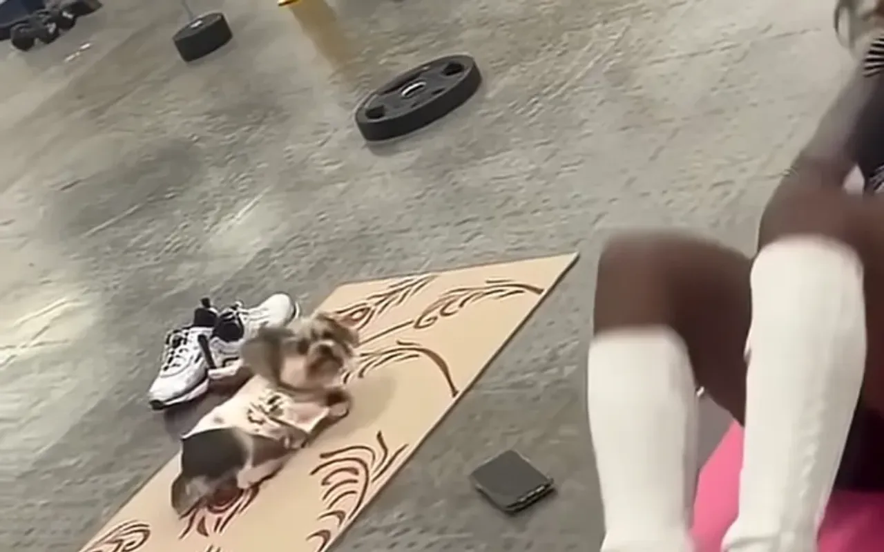 Una mujer que se ejercitaba con su perro conquistó Internet