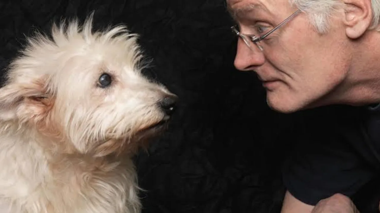 Scientists determine how dogs understand human emotions