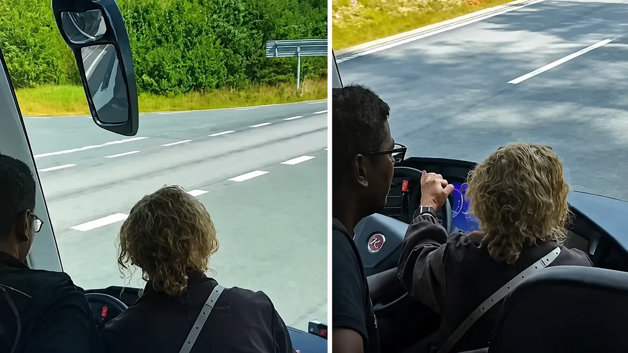 Passengers in Sweden save bus from accident