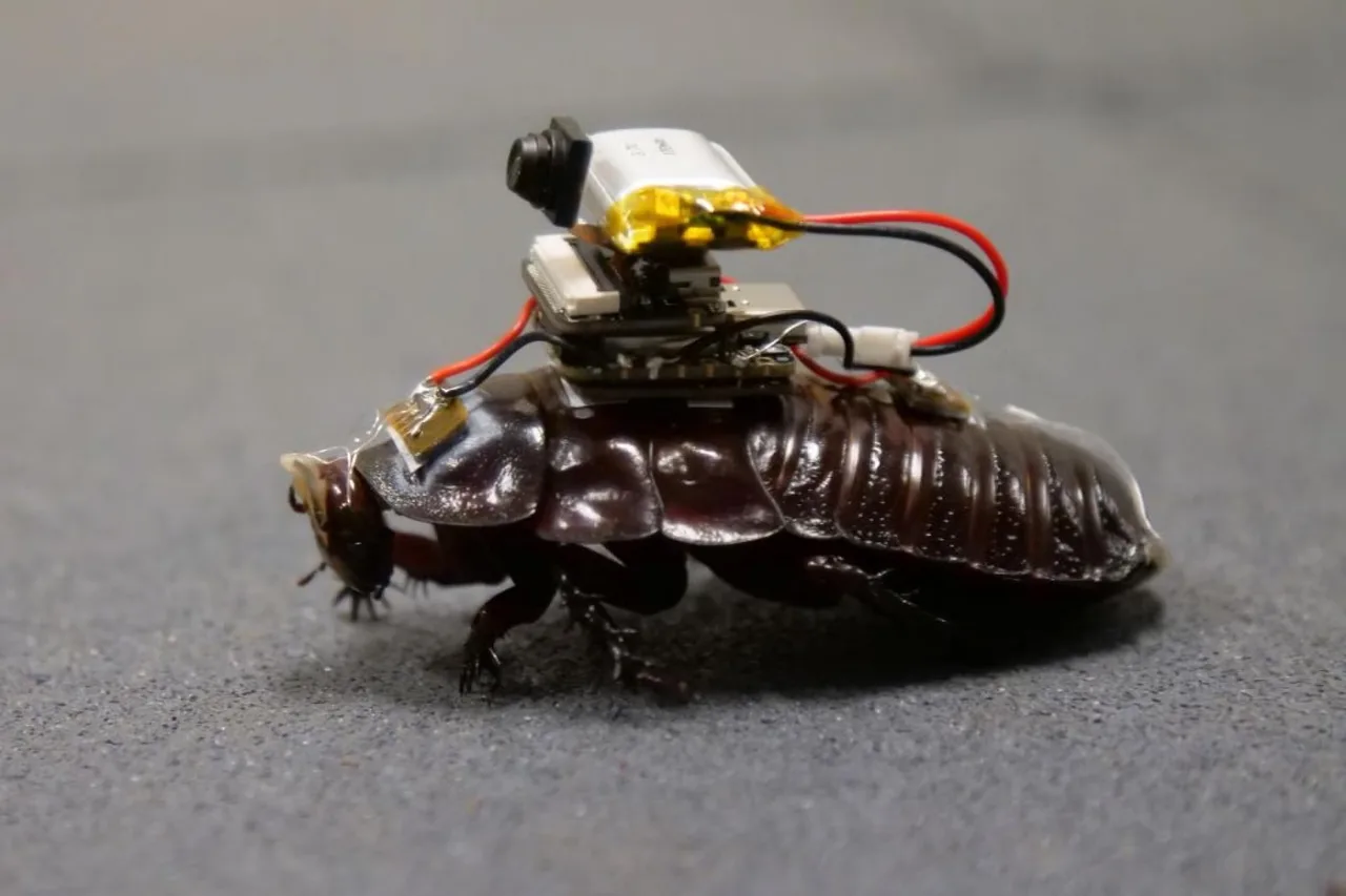 Orqa qismida kichik kamera va simli elektronika o‘rnatilgan suvarak.