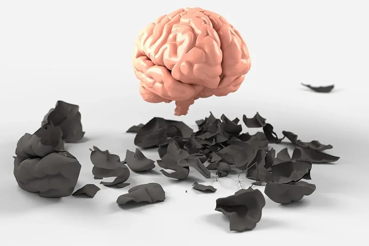 Scientists identify new immune structures inside the skull