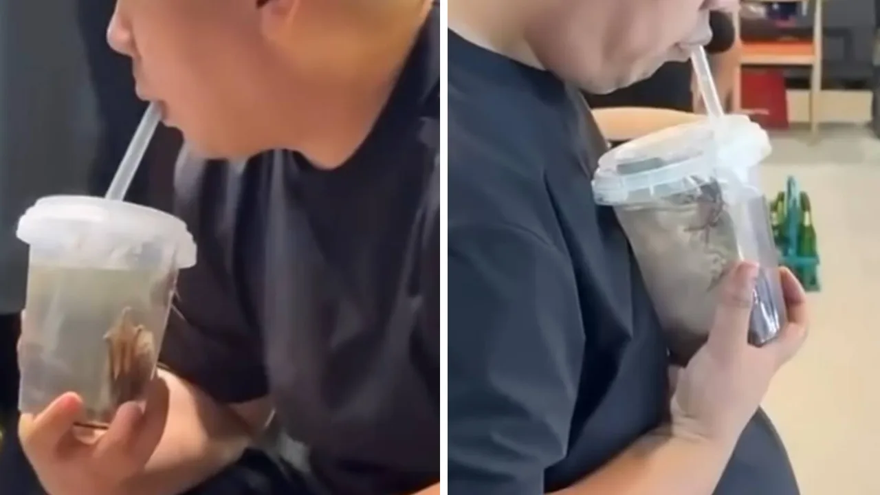 Xitoyda tirik qurbaqa solingan choy videosi tarmoqlarni larzaga soldi (video)