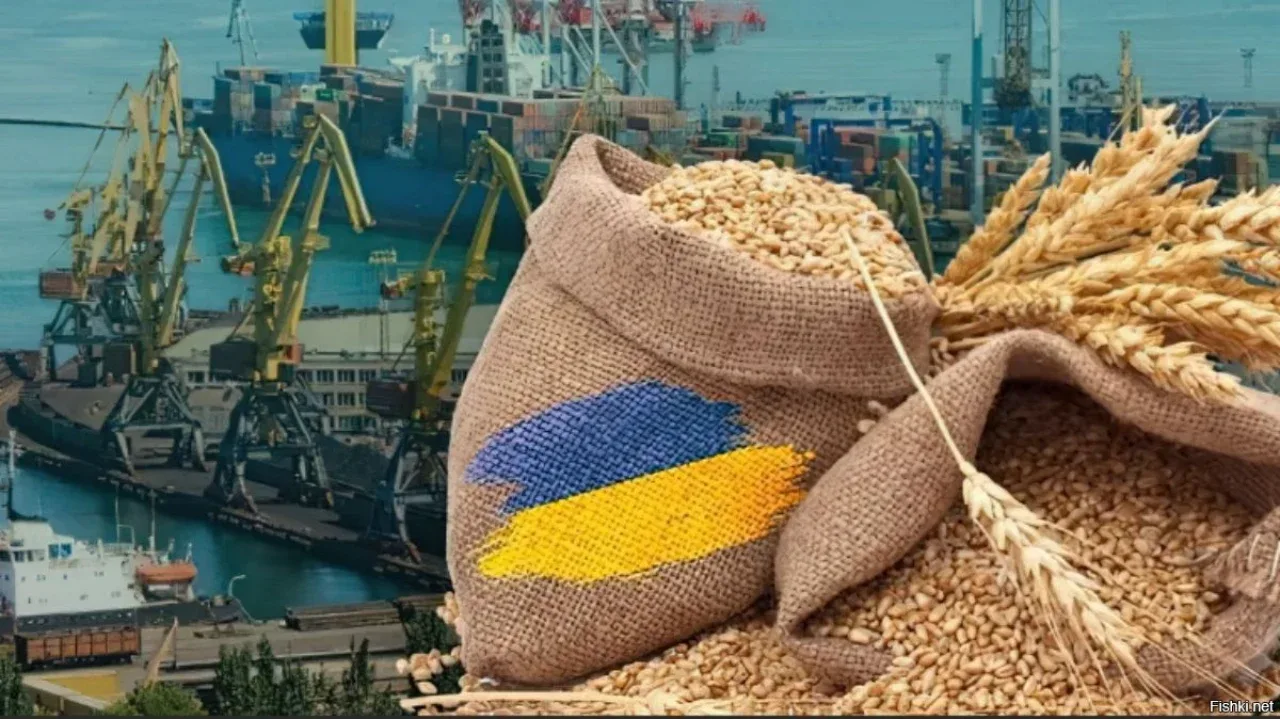 Ноқонуний ғалла савдосига зарба: Украина 13 та кема ва 28 та компанияни «қора рўйхат»га киритди