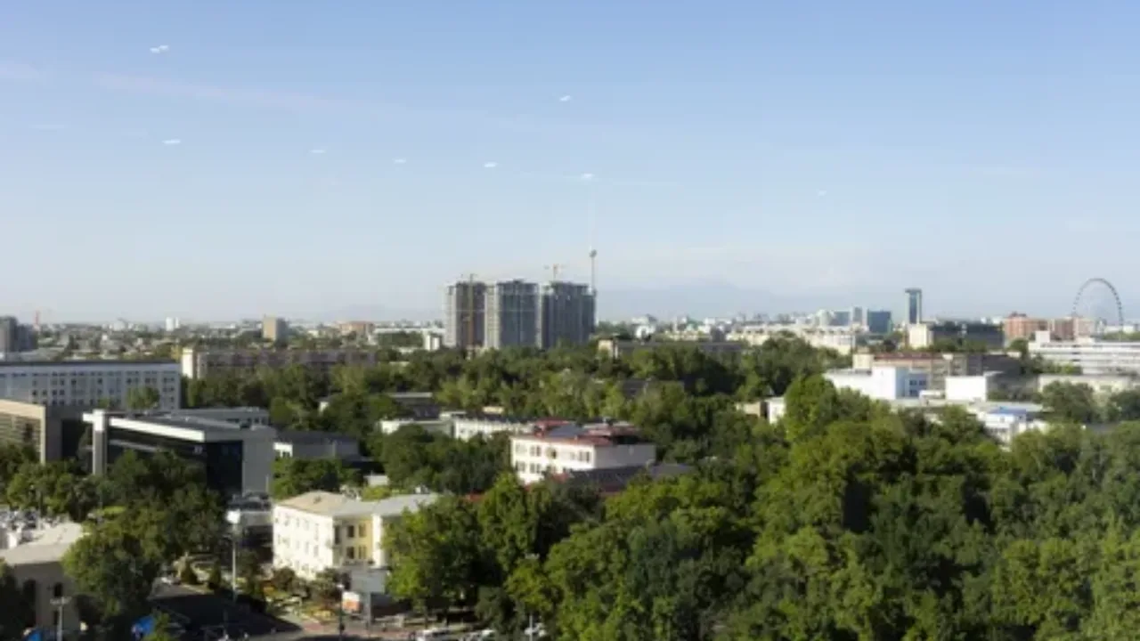 Heat records recorded in 4 regions of Uzbekistan
