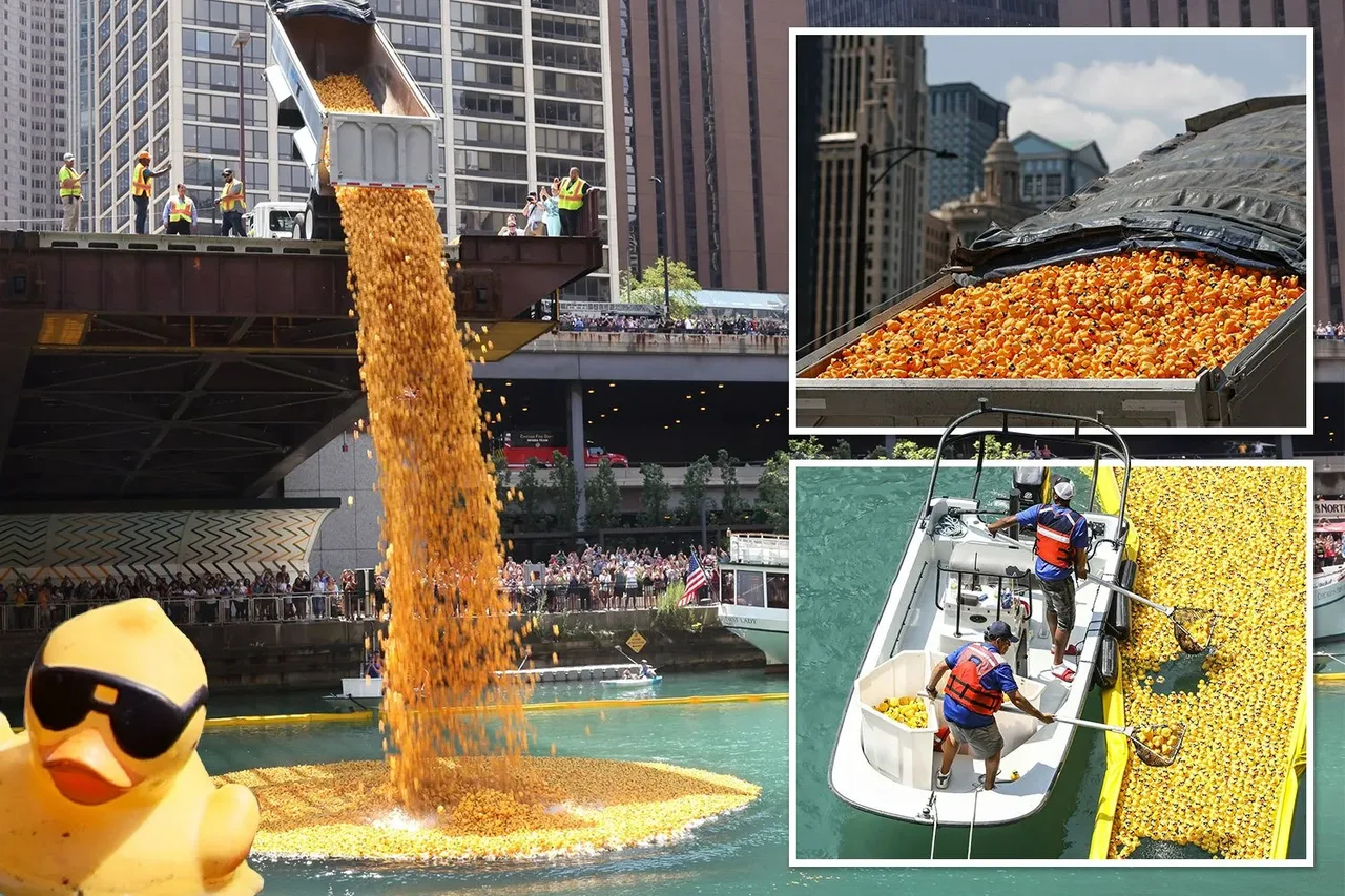 More than 91,000 rubber ducks released into the Chicago River