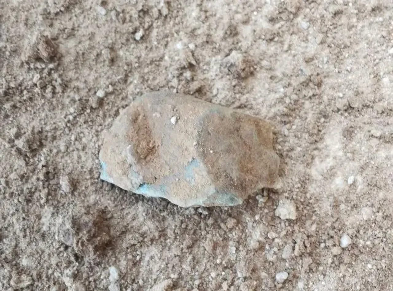 Quruq va changli tuproq ustida kichik, kulrang-jigarrang tosh yotibdi.