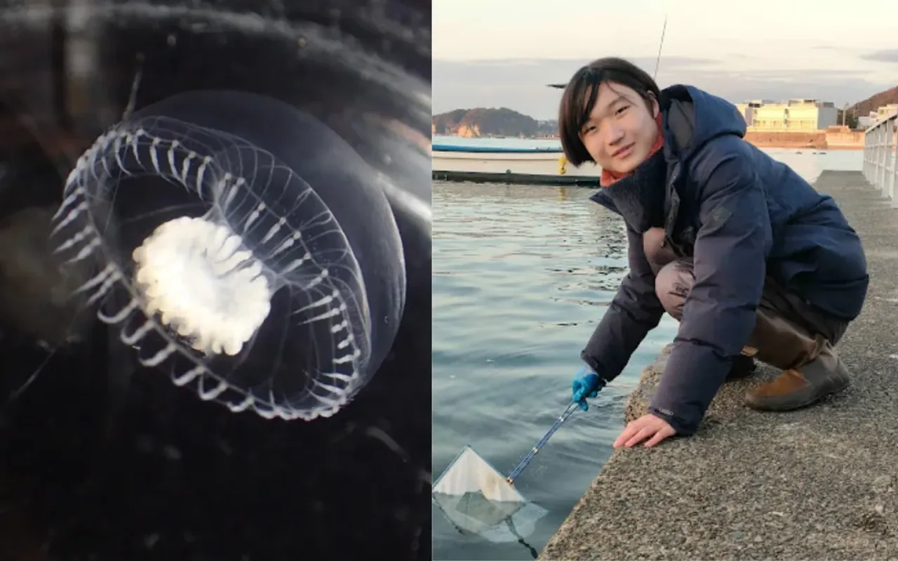 13-Year-Old Boy Accidentally Discovers a Creature Unknown to Science