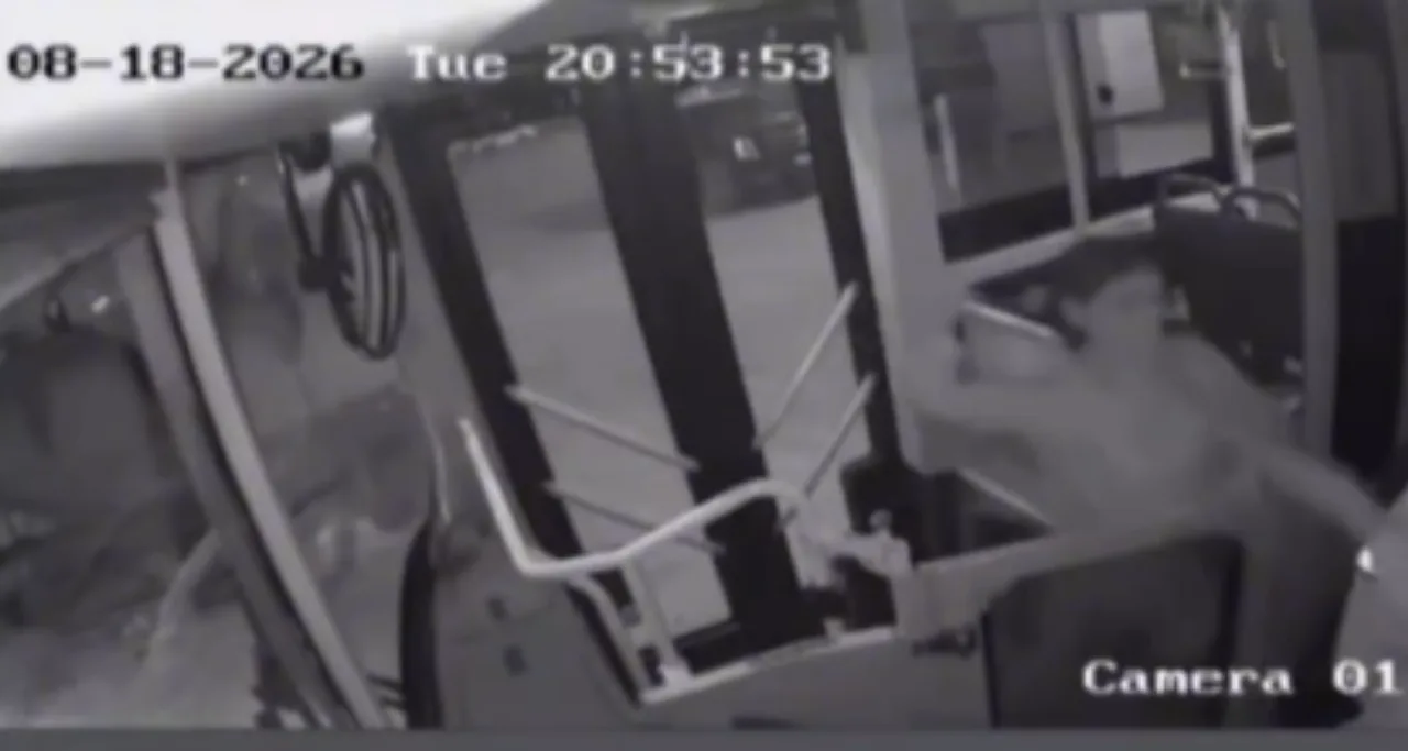 Woman Attacks Bus Driver in Bishkek