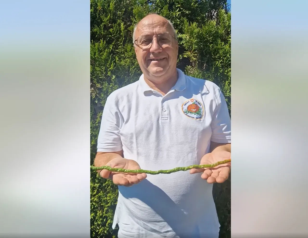Guinness Record Broken for the 3rd Time: How Was a 52 cm Chili Pepper Grown?