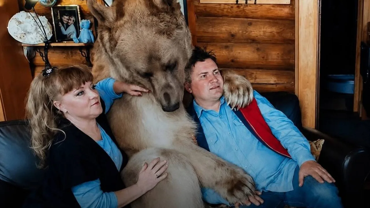 Bear Cub Found in Forest Becomes Family’s “Child”: How Stepan Grew Up