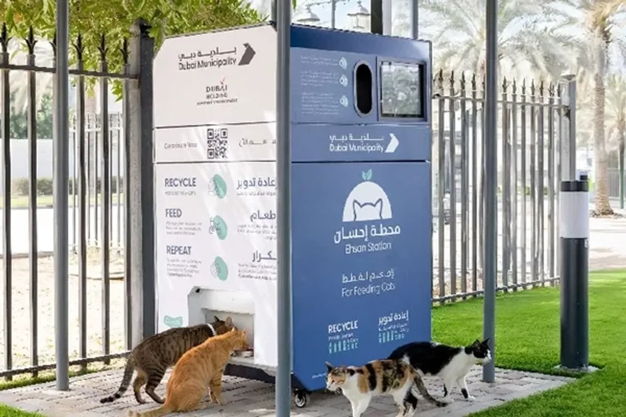 Des dispositifs alimentés par l’IA lancés à Dubaï pour nourrir les animaux errants
