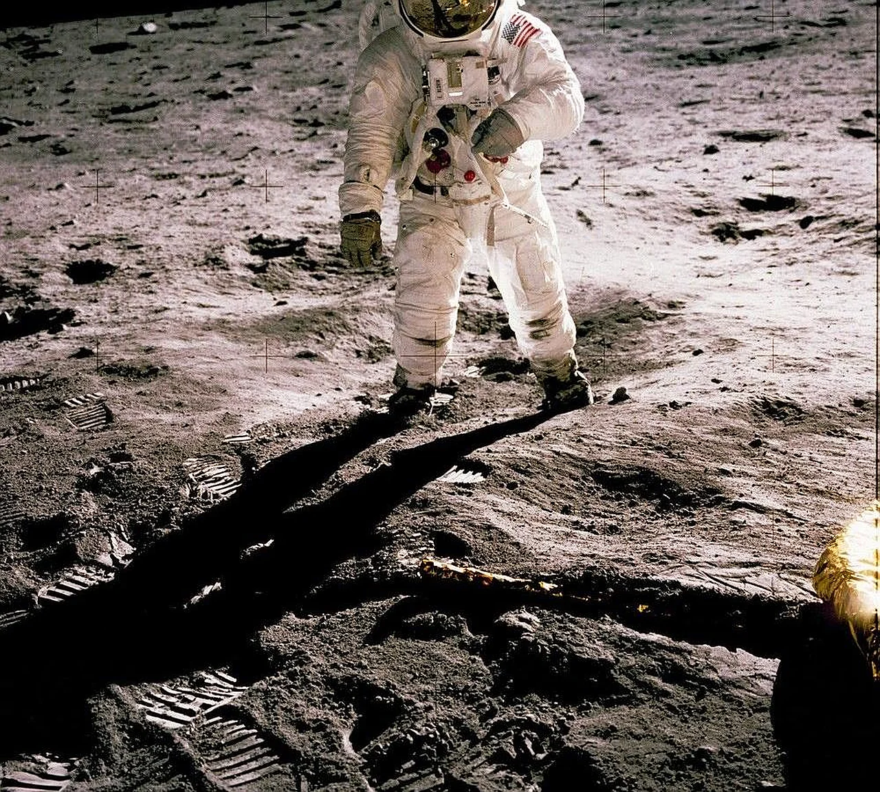Roscosmos head says the Moon could become a backup home for humanity