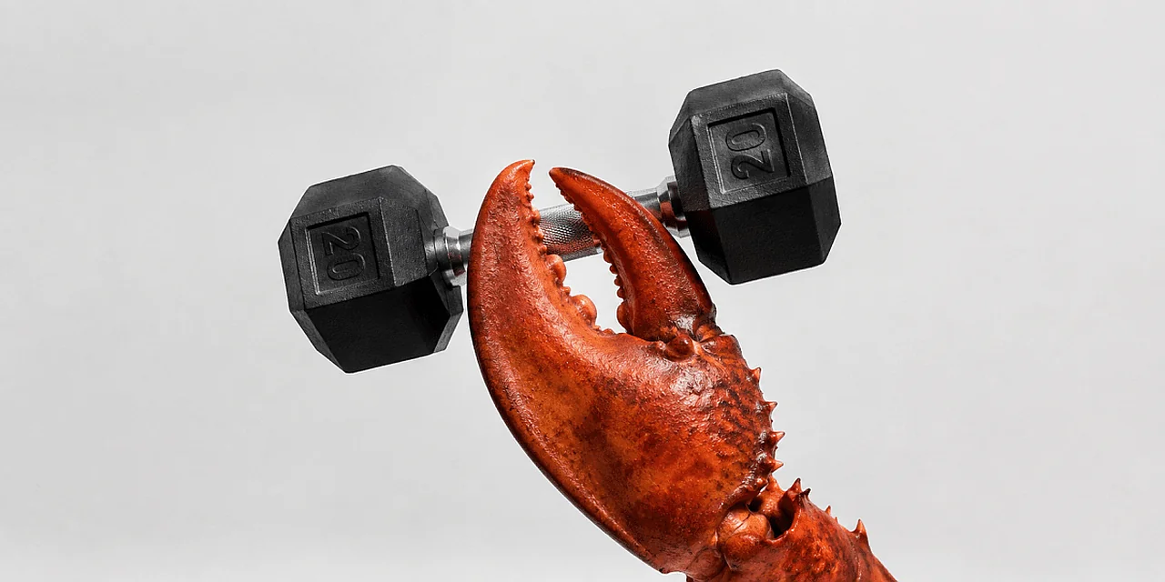 KI-Agent hackte die Software eines Fitnessstudios