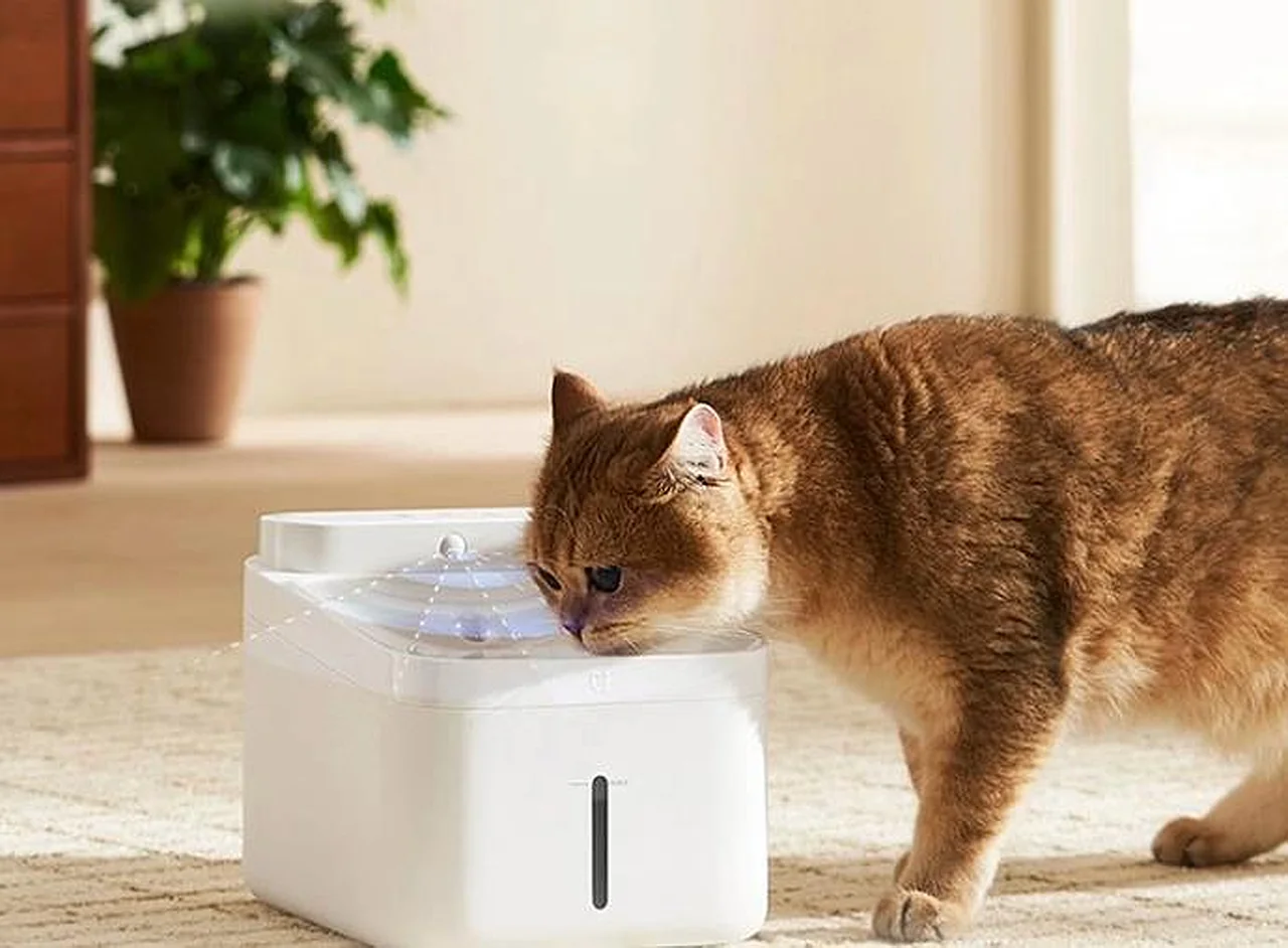 Xiaomi Launches a Smart Water Fountain for Cats That Runs for 90 Days