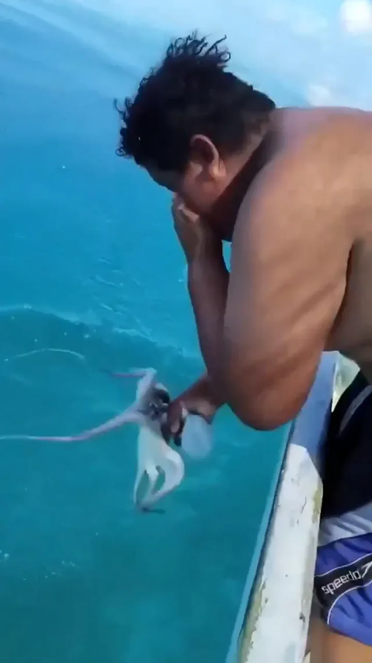 Qayiqdagi erkak suvdan oq sakkizoyoqni ushlab turibdi.