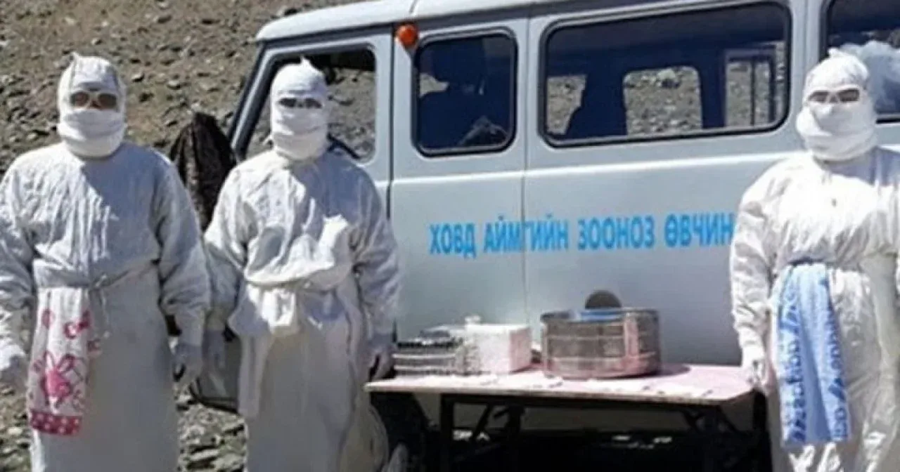 “Outbreak of a Dangerous Disease”: Plague Infection Detected on the Russia-Mongolia Border