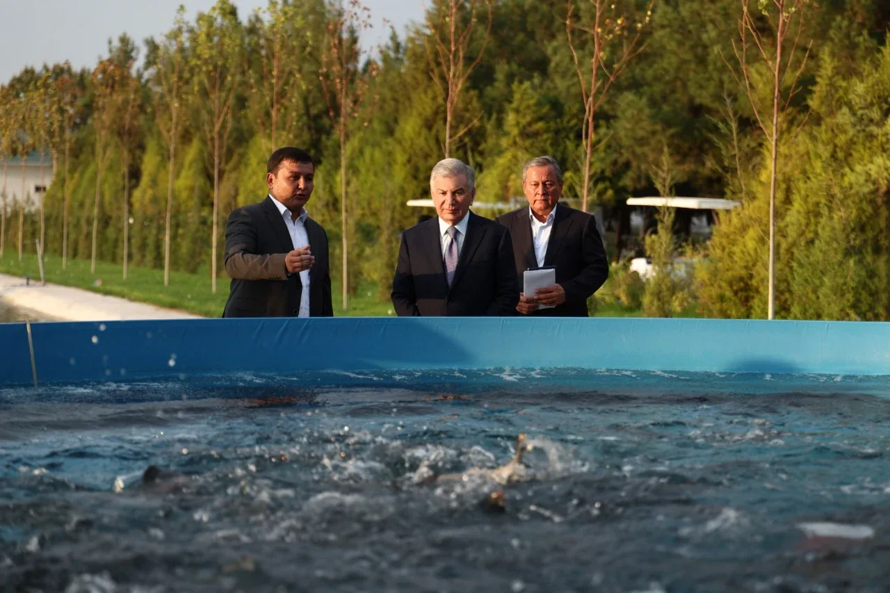 Shavkat Mirziyoyev Baliqchidagi noyob forel klasteri bilan tanishdi (video)